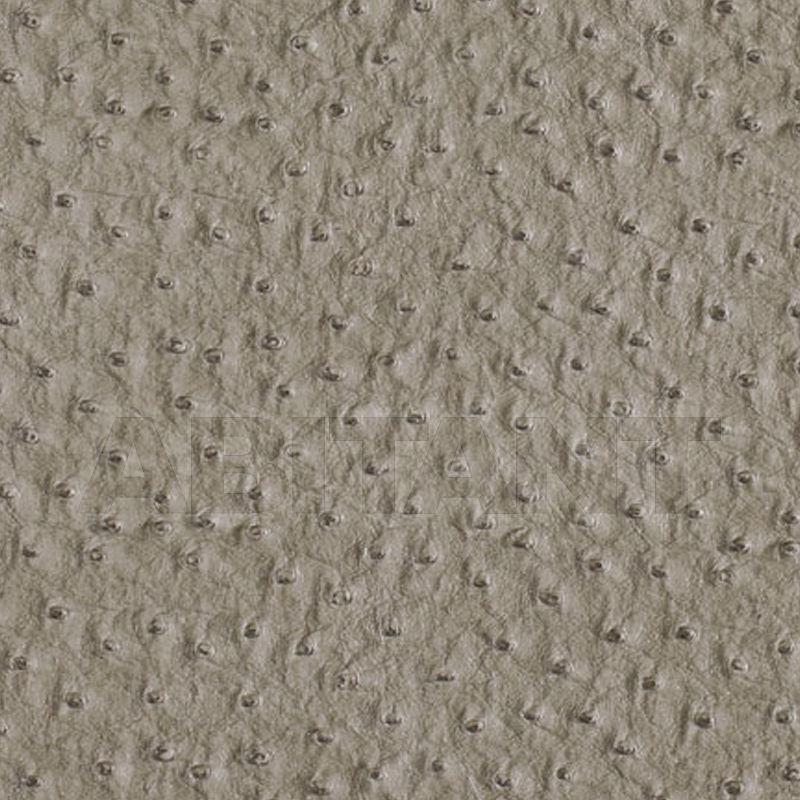 Buy Upholstery  JEMMA SLATE  Vanguard Furniture Fabric 153046