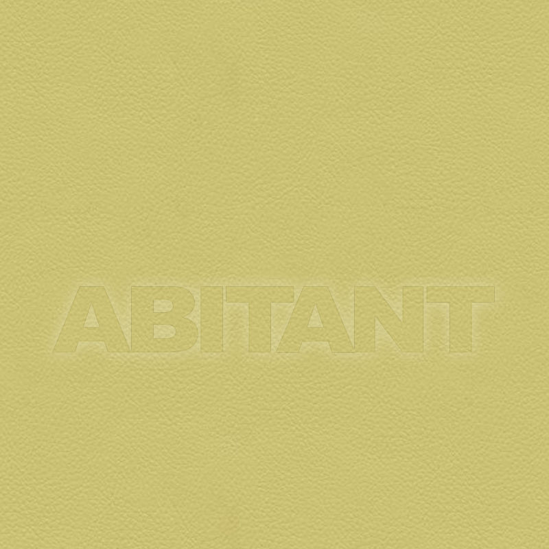 Buy Upholstery SPECTRUM GOLD Vanguard Furniture Leather 2466 