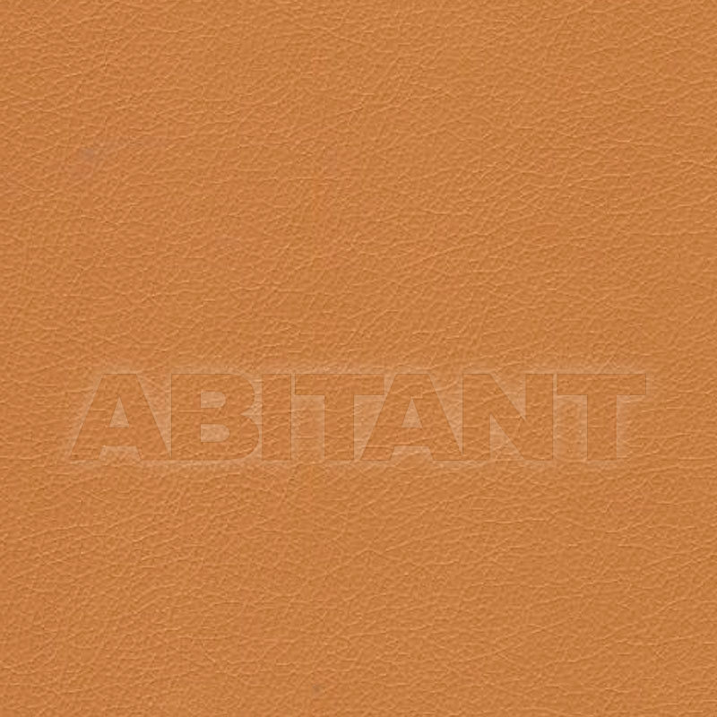 Buy Upholstery Kravet FABRICS VALERA.12.0