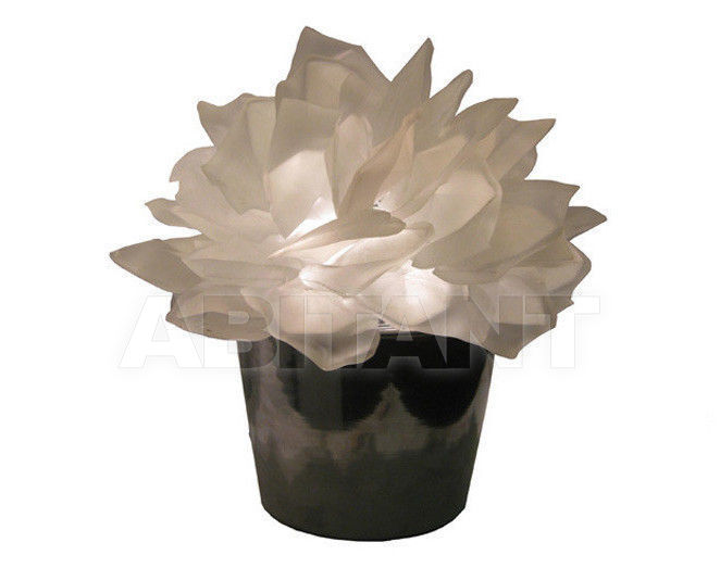 Buy Table lamp Spiridon The Artists L/AWC-1/H