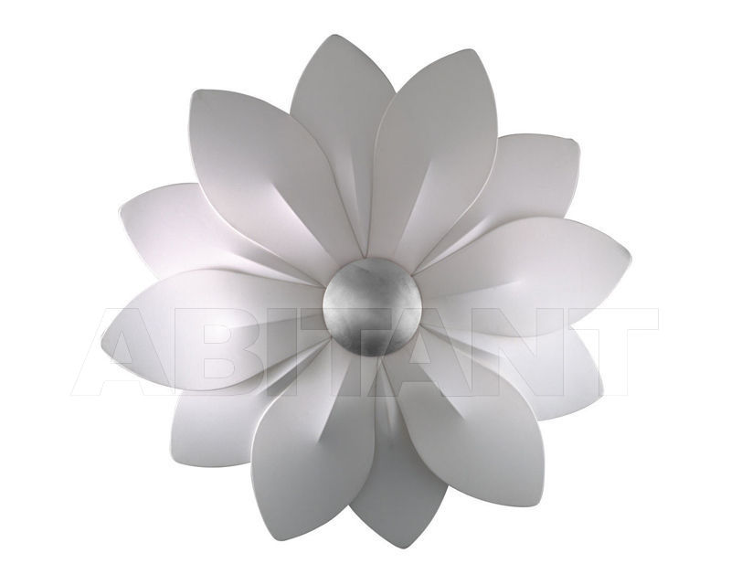 Buy Wall light FIORE Kolarz 2019 5230.60610