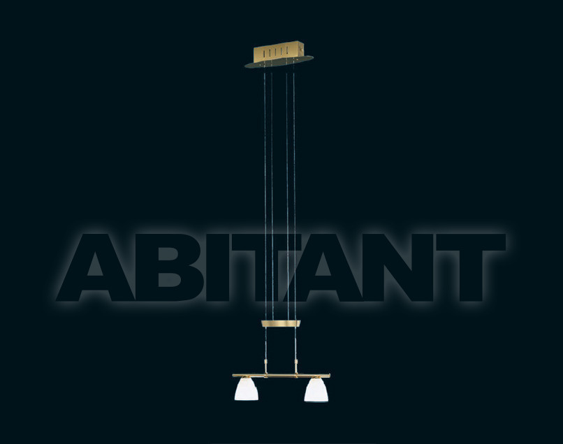 Buy Light Gebr. Knapstein Pendelleuchten 51.408.03