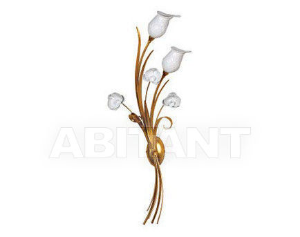 Buy Bracket Le Porcellane  Classico 5325/2 SX