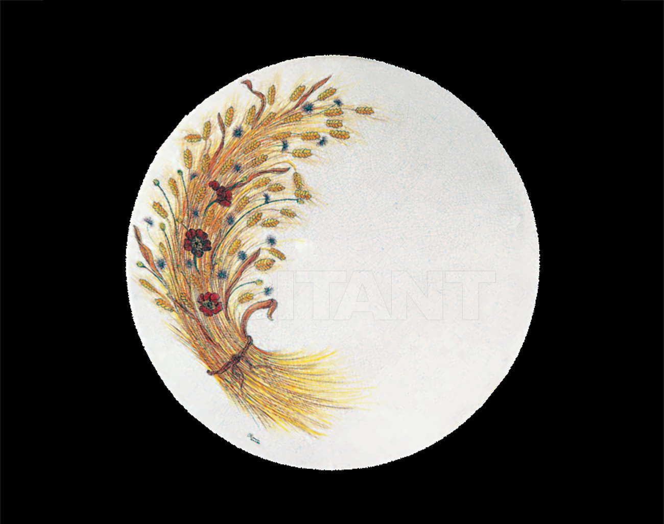 Buy Top Domiziani Classic Sun sun 74 60 x 60