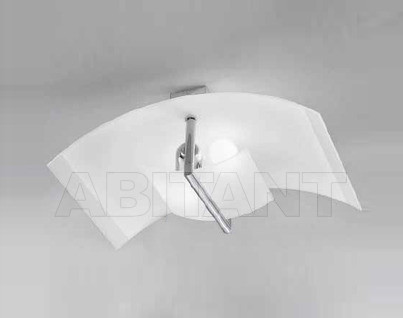 Buy Light Gea Luce srl Gea daniela P/M