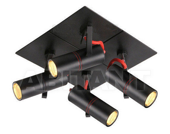 Buy Spot light Lucide  Spots 12929/74/30