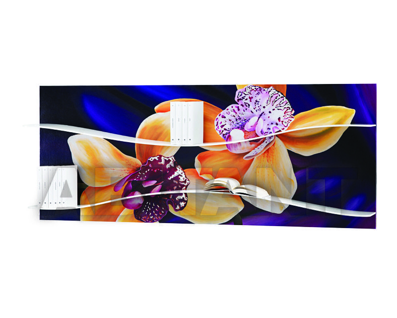 Buy Shelf Pintdecor / Design Solution / Adria Artigianato Librria P3226