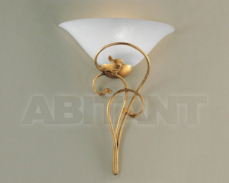 Buy Bracket CILENTA Hans Kögl Wohnlicht 50114