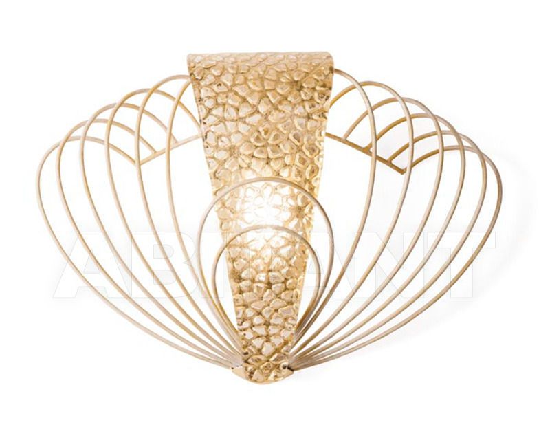 Buy Bracket Marrakech Masca Colors Of Beauty 1871/A1