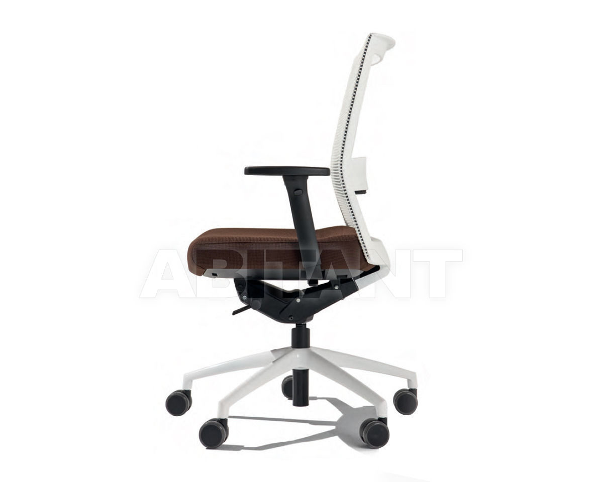 Buy Сhair Winner Vigano Office Office WLO2H Cat. A+B+B+R4Y