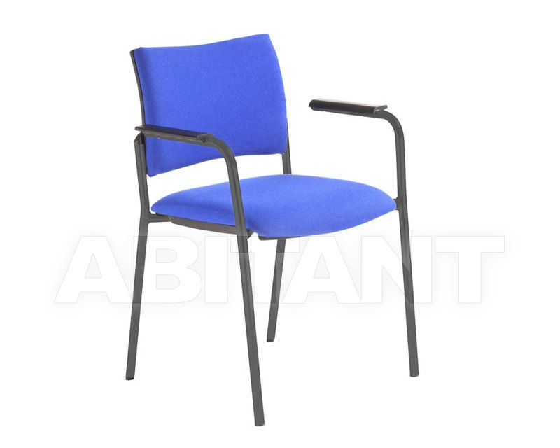 Buy Armchair Dynamica Mascagni Sedute 381