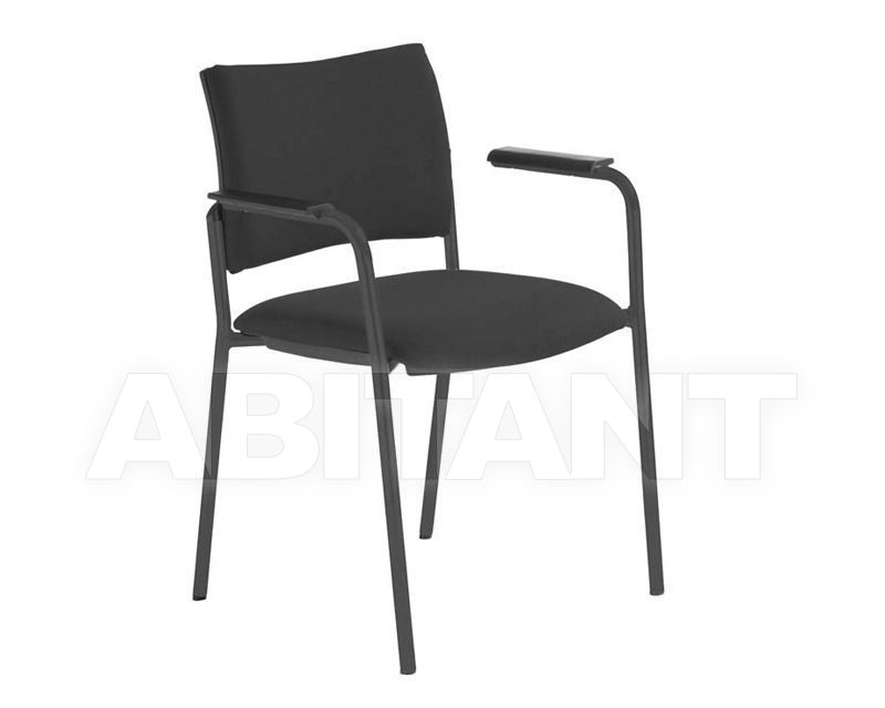 Buy Armchair Dynamica Mascagni Sedute 381 2