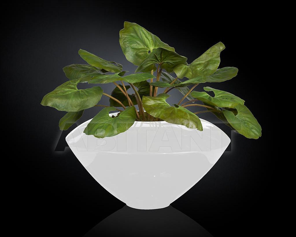 Buy Vase Sidney VGnewtrend Home Decor 1141186.95