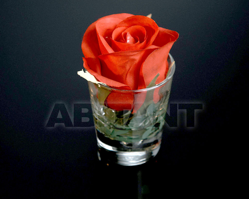 Vase Rosebud 1140931.30 price on request Buy Vase Rosebud VGnewtrend Home Decor 1140931.30