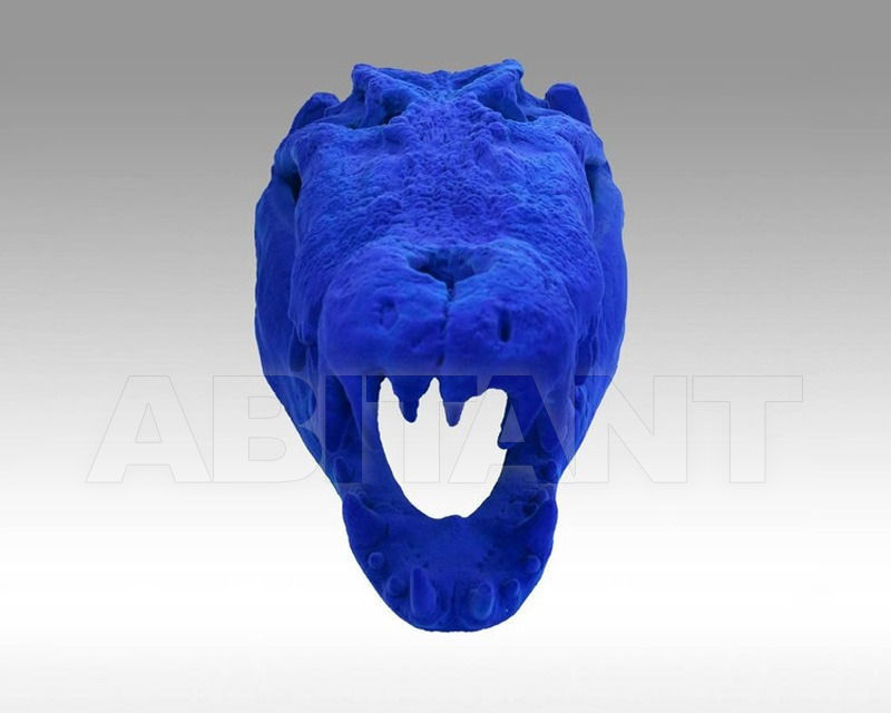 Buy Sculpture Mio International 2014 Crâne de grand crocodile 5