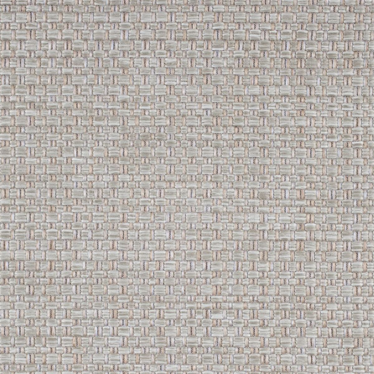 Buy Upholstery  Raffia Sesame  Style Library Scion Textures NTEX140872