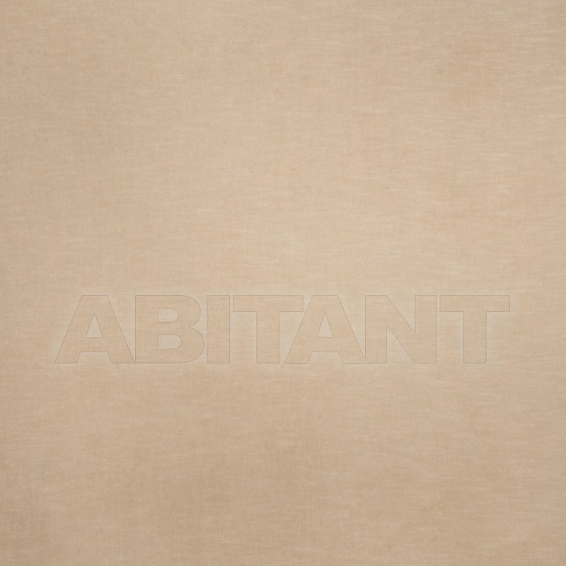 Buy Portiere fabric Rothschild Ecru Fabricut Expressions Volume Iii 2385505